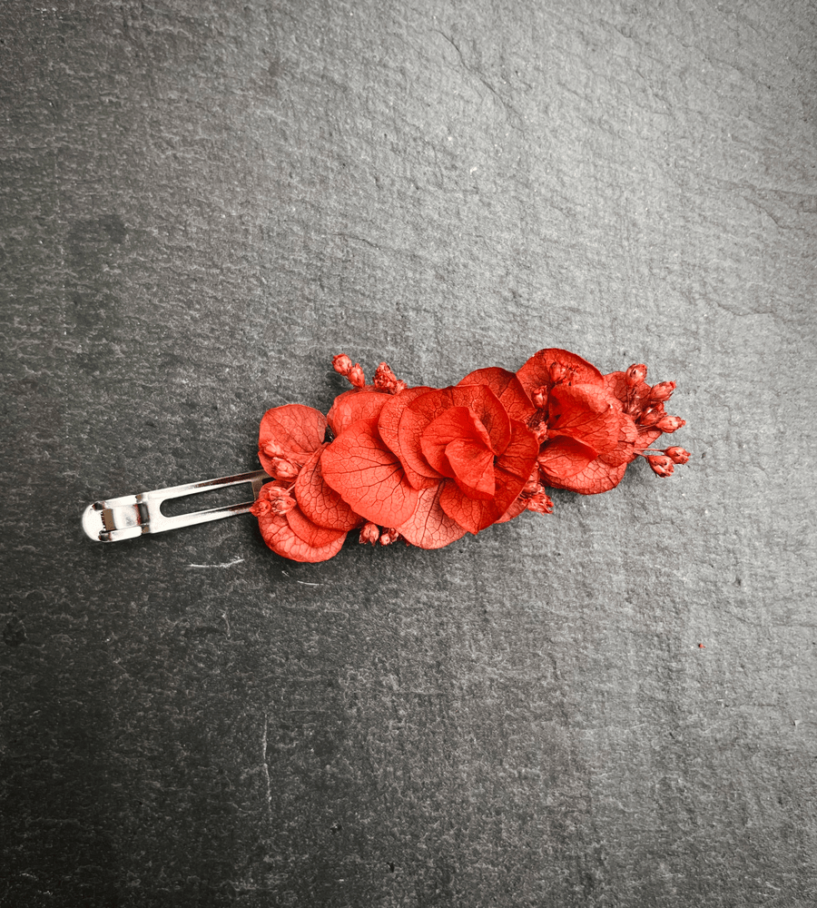 Barrette fleurs séchées Terracotta